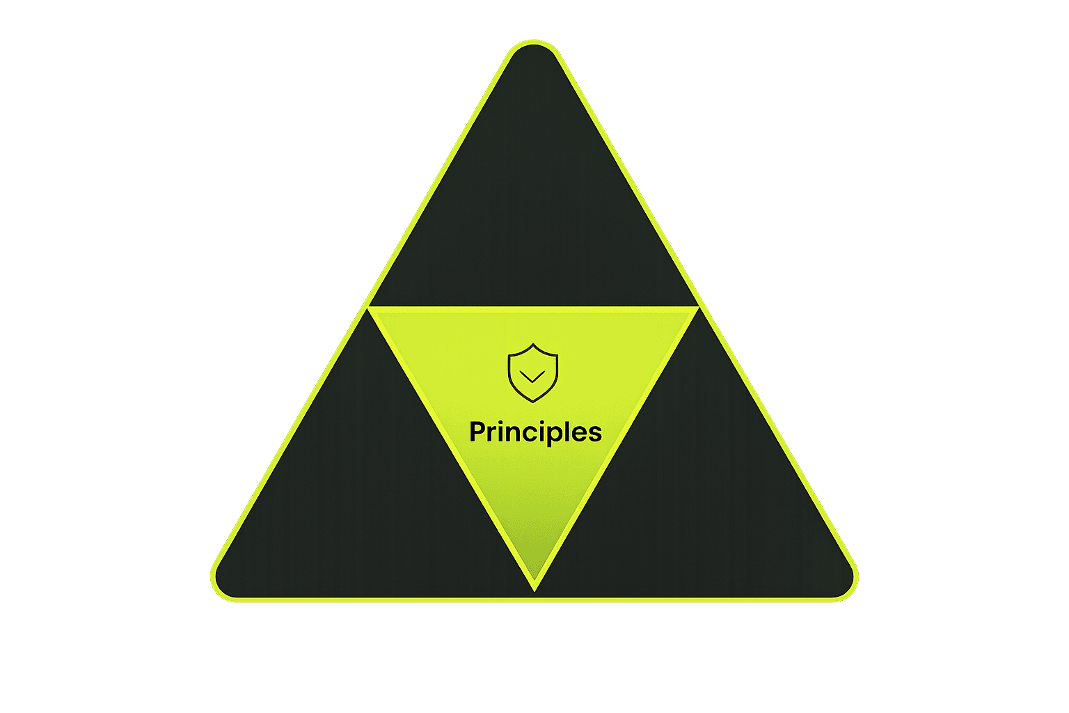 Principles and values for MVP delivery